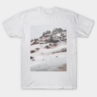 Snow On Dartmoor T-Shirt